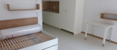 Zu sehen sind Küchenzeile, Bett und Tisch eines modernen Apartments.